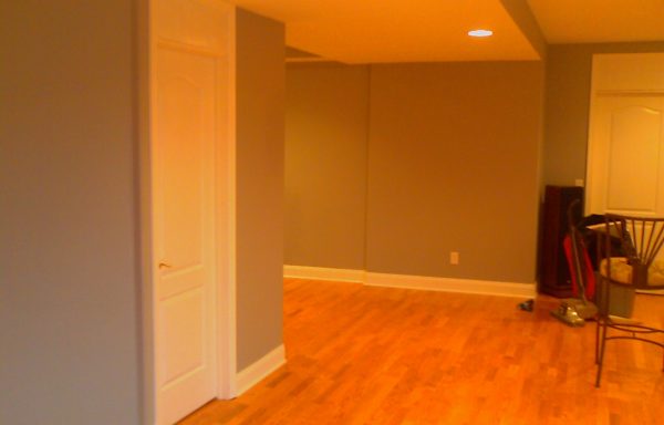 OT Basement Remodel 2